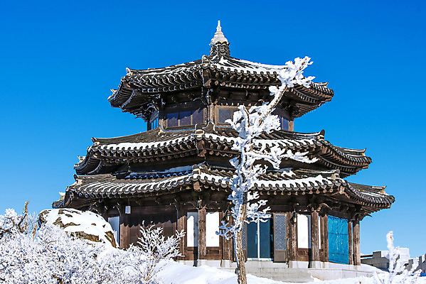 포토 JPG 해외이미지 나무 백그라운드 겨울 자연 하늘 산 서울 한국 풍경 사람없음 태양 맑음 추위 언덕 눈내림 해외202004 해외포토 자연요소 식물 계절 아시아 날씨 눈_날씨 생태계 파일형식