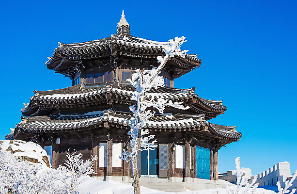 포토 JPG 해외이미지 나무 백그라운드 겨울 자연 하늘 산 서울 한국 풍경 사람없음 태양 맑음 추위 언덕 눈내림 해외202004 해외포토 자연요소 식물 계절 아시아 날씨 눈_날씨 생태계 파일형식