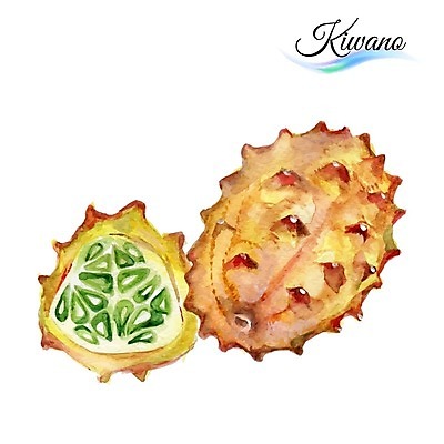 EPS 해외이미지 디자인 음식 조각 백그라운드 과일 일러스트 수채화 미술 씨앗 사람없음 초록색 껍질 플랫 달콤 그림 유기농 비타민 이국적 맛있는 해외202004 해외일러스트 식물 웰빙 컬러 문화예술 맛 영양소 파일형식 벡터