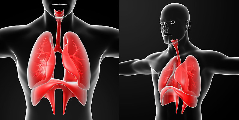 포토 JPG 해외이미지 과학 신체 해부 건강 사람 사람없음 내부 약 3D 고통 하트 오르간 신장 생물학 간 암 방광 췌장 염증 지라 해외202004 해외포토 모양 교육 감정 의학 장기_의학 건반악기 비뇨기관 질병 디지털합성 파일형식
