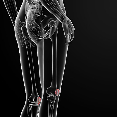 포토 JPG 해외이미지 스포츠 해부 뼈 스트레스 엑스레이 건강 사람없음 파란색 약 고통 상처 관절염 무릎 외과 허벅지 돌봄 부담 양발 연골 증상 캡모자 해외202004 해외포토 모자_잡화 감정 컬러 의학 모션 병원 신체부위 질병 파일형식