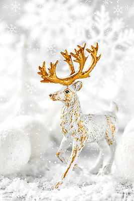 포토 JPG 해외이미지 나무 전통 디자인 백그라운드 크리스마스 겨울 공 사슴 새로움 기념 매달리기 선물 사람없음 장식 반짝임 축제 장식볼 흰색 축하 눈송이 우아함 은색 12월 해외202004 해외포토 식물 계절 기념일 컬러 컨셉 포유류 모션 눈_날씨 날짜 파일형식