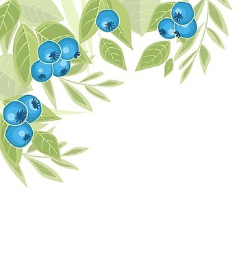 EPS 해외이미지 식물 템플릿 손 디자인 열매 포스터 음식 백그라운드 잎 과일 일러스트 비즈니스 자연 추상 디저트 프레임 건강 미술 그래픽 장식 초록색 여름 파란색 라벨 수확 덮개 흰색 신선 신용카드 달콤 상품 심볼 메뉴 그림 유기농 복고 블루베리 초대 내추럴 고립 채식주의자 해외202004 해외일러스트 웰빙 계절 컬러 무늬 농업 문화예술 신체부위 금융 뚜껑 맛 생태계 채식 파일형식 벡터