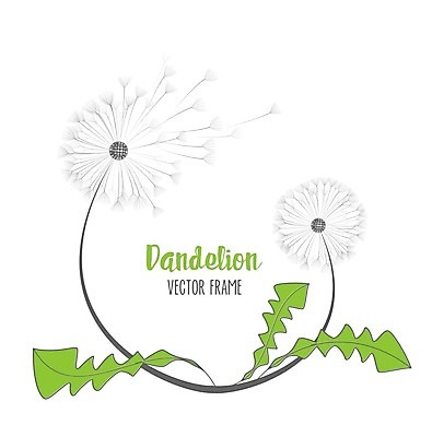 EPS 해외이미지 식물 디자인 계절 꽃 실루엣 줄기 백그라운드 잎 꽃무늬 일러스트 자연 하늘 바람 프레임 미술 씨앗 풍경 초원 여름 빛 머리 정원 검은색 침묵 봄 자유 수확 성장 벚꽃 가을 시골 잡초 수분 민들레 땅 생물학 장면 부드러움 솜털 내추럴 취급주의 타격 해외202004 해외일러스트 자연요소 교육 컬러 컨셉 무늬 농업 모션 날씨 문화예술 촬영기법 경고 신체부위 소리 감각 생태계 파일형식 벡터