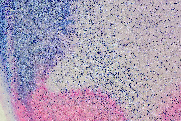 포토 JPG 해외이미지 디자인 종이 분홍색 백그라운드 패턴 일러스트 벽지 추상 수채화 잉크 창조 미술 경사 사람없음 그래픽 가로 컬러풀 장미 페인트 수확 붓 얼룩 거친 액체 떨어짐 그림 질감 그런지 스크랩북 해외202004 해외포토 꽃 컬러 컨셉 무늬 농업 문화예술 파일형식