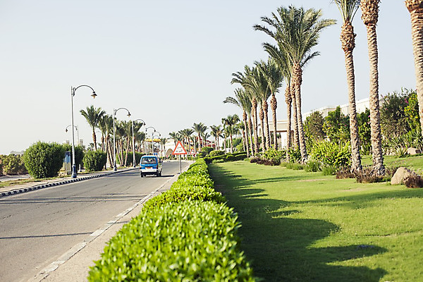 포토 JPG 해외이미지 나무 디자인 공원 아시아 도로 바다 섬 여행 백그라운드 잎 패턴 우산 아프리카 자연 호텔 휴가 휴식 주택 이집트 손바닥 사람 사람없음 야외 빨간색 초록색 물 파란색 야자수 정원 맑음 수영 고급 휴양지 해외202004 해외포토 자연요소 식물 손 공공시설 나라 길 컬러 컨셉 무늬 교통시설 숙소 날씨 건물 장소 수상스포츠 생태계 파일형식