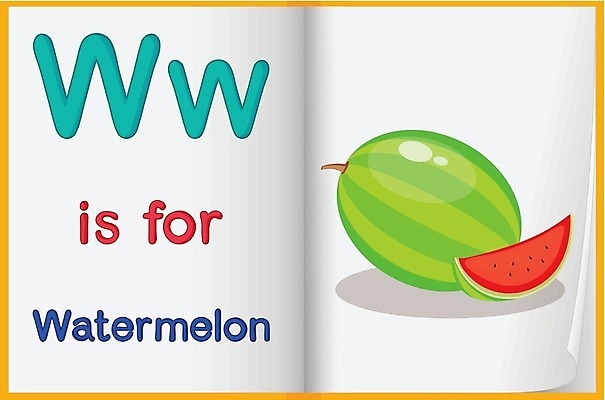 EPS 해외이미지 학생 알파벳 영어 교육 종이 어린이 과일 일러스트 학교 수업 수박 그림자 책 파란색 학습 공책 유치원 오픈 신용카드 가르침 만화 편지 그림 문제집 시트 W 최초 패드 해외202004 해외일러스트 문자 컬러 문구용품 사람 금융 파일형식 벡터