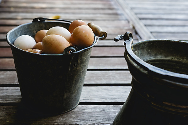 포토 JPG 해외이미지 음식 건강 사람없음 갈색 계란 신선 상품 양동이 유기농 날것 내추럴 해외202004 해외포토 웰빙 컬러 알 파일형식