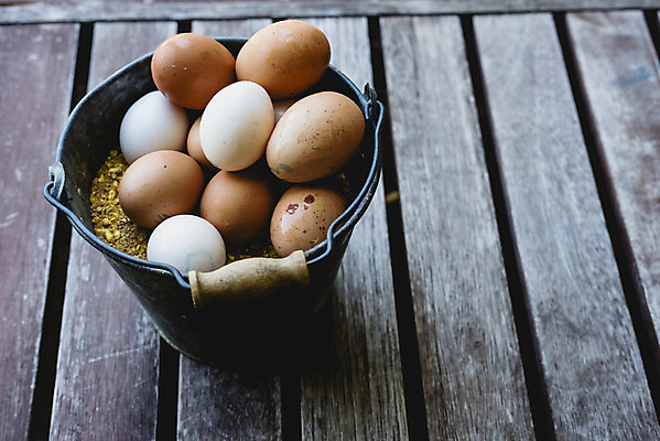 포토 JPG 해외이미지 음식 건강 사람없음 갈색 계란 신선 상품 양동이 유기농 날것 내추럴 해외202004 해외포토 웰빙 컬러 알 파일형식