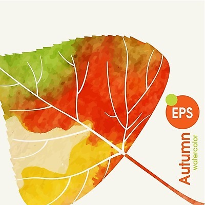 EPS 해외이미지 식물 백그라운드 잎 일러스트 자연 수채화 사람없음 빨간색 초록색 노란색 가을 해외202004 해외일러스트 계절 컬러 생태계 파일형식 벡터