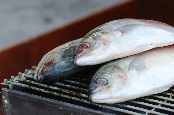 포토 JPG 해외이미지 음식 육류 어류 요리 사람없음 야외 소풍 검은색 식사 신선 그릴 바비큐 굽기 해산물 해외202004 해외포토 컬러 식재료 주방용품 야외활동 수중동물 구이 파일형식