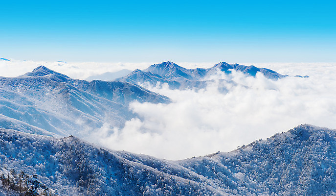 포토 JPG 해외이미지 나무 백그라운드 겨울 자연 하늘 산 서울 한국 풍경 사람없음 태양 맑음 추위 언덕 눈내림 해외202004 해외포토 자연요소 식물 계절 아시아 날씨 눈_날씨 생태계 파일형식