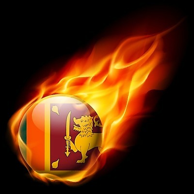 EPS 해외이미지 모양 전통 디자인 아시아 컨셉 오렌지 일러스트 불 불꽃 동양인 이벤트 빨간색 초록색 빛 컬러풀 세계 에너지 흰색 깃발 원형 역사 황금 어플리케이션 사자 폭발 심볼 사인 매움 영토 배지 광택 고립 스리랑카 전국 정치 해외202004 해외일러스트 자연요소 도형 나라 컬러 과일 포유류 인종 맛 파일형식 벡터