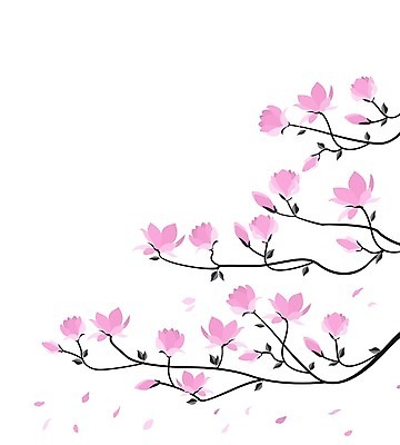 EPS 해외이미지 꽃 분홍색 일러스트 사람없음 봄 낭만 나뭇가지 목련 해외202004 해외일러스트 나무 식물 계절 컬러 컨셉 파일형식 벡터