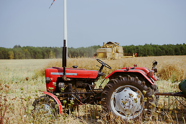 포토 JPG 해외이미지 실루엣 산업 밭 농업 비즈니스 자연 씨앗 사람 사람없음 야외 농작물 농장 수확 추수 가을 농부 밀 트랙터 짐차 밭일 해외202004 해외포토 식물 직업 계절 자동차 곡류 촬영기법 농기계 생태계 특수차량 파일형식