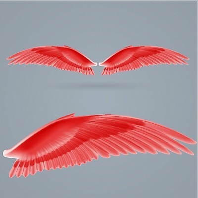 EPS 해외이미지 모양 동물 디자인 실루엣 선 여행 백그라운드 날개 일러스트 상상 조류 추상 천사 아이디어 형상 창조 그래픽 장식 빨간색 힘 자유 영혼 우아함 심볼 깃털 오브젝트 그림 군용 신분 심플 개성 영웅 고립 슈퍼히어로 엘리먼트 염원 인공 스타일 해외202004 해외일러스트 컬러 컨셉 무늬 군대 촬영기법 파일형식 벡터