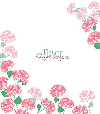 EPS 해외이미지 디자인 꽃잎 꽃 백그라운드 잎 꽃무늬 패턴 일러스트 프레임 미술 사람없음 그래픽 장식 초록색 봄 낭만 흰색 축하 화려 우아함 그림 복고 초대 수국 구성 해외202004 해외일러스트 식물 계절 컬러 컨셉 무늬 문화예술 파일형식 벡터