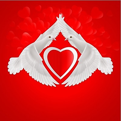 EPS 해외이미지 모양 동물 디자인 행복 감정 실루엣 결혼 백그라운드 컨셉 2 인터넷 날개 일러스트 자연 조류 하늘 결혼식 아이디어 사랑 미술 반려동물 교회 평화 희망 자유 흰색 하트 영혼 심볼 순수 깃털 오브젝트 비둘기 심플 단아함 해외202004 해외일러스트 컬러 문화예술 촬영기법 이벤트 생태계 파일형식 벡터