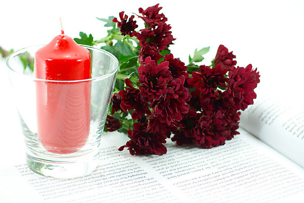 포토 JPG 해외이미지 식물 1 꽃잎 꽃 분홍색 꽃다발 백그라운드 꽃무늬 패턴 자연 프레임 국화 사랑 사람없음 책 빨간색 초록색 머리 쌓기 정원 봄 활발 벚꽃 흰색 우아함 제비꽃 데이지 고립 해외202004 해외포토 계절 감정 컬러 컨셉 무늬 모션 신체부위 생태계 파일형식