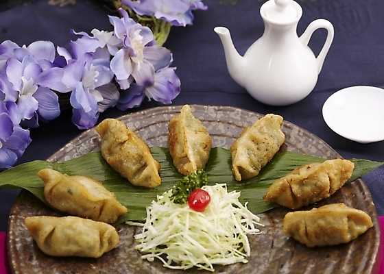 포토 JPG 스튜디오촬영 그릇 식기 접시 꽃 음식 주전자 실내 사람없음 장식 중식 만두 딤섬 군만두 국내포토 식물 주방용품 내부 파일형식