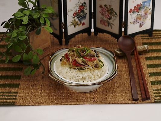 포토 JPG 스튜디오촬영 식물 그릇 식기 접시 화분 음식 젓가락 밥 실내 근접촬영 사람없음 장식 초록색 중식 숟가락 병풍 잡채밥 국내포토 뷰포인트 컬러 수저 내부 파일형식