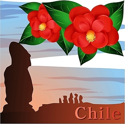 EPS 클립아트 식물 꽃 컬러 외국문화 여행 일러스트 국화 사람없음 야외 빨간색 남아메리카 동백 칠레 나라꽃 모아이 국내일러스트 문화 아메리카 석상 이스터섬 파일형식 벡터