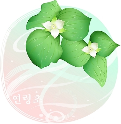 EPS 클립아트 식물 꽃 백그라운드 일러스트 봄꽃 자연 사람없음 들꽃 흰색 국내일러스트 컬러 봄 생태계 파일형식 벡터