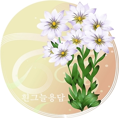 EPS 클립아트 식물 꽃 백그라운드 일러스트 자연 가을꽃 사람없음 들꽃 흰색 흰그늘용담 국내일러스트 컬러 생태계 파일형식 벡터 가을_계절