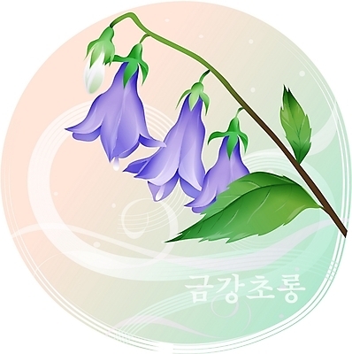 EPS 클립아트 식물 꽃 컬러 백그라운드 일러스트 여름꽃 자연 사람없음 보라색 들꽃 금강초롱 국내일러스트 생태계 초롱꽃 파일형식 벡터 여름_계절