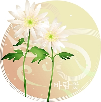 EPS 클립아트 식물 꽃 백그라운드 일러스트 봄꽃 자연 사람없음 들꽃 흰색 바람꽃 국내일러스트 컬러 봄 생태계 파일형식 벡터