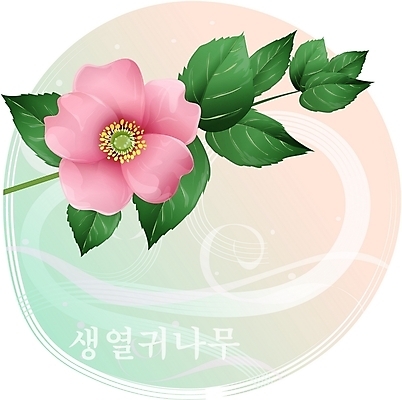 EPS 클립아트 식물 꽃 분홍색 백그라운드 일러스트 여름꽃 자연 사람없음 들꽃 생열귀나무 국내일러스트 나무 컬러 생태계 파일형식 벡터 여름_계절