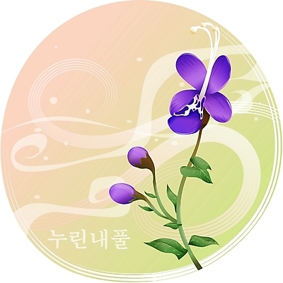 EPS 클립아트 식물 꽃 컬러 백그라운드 일러스트 여름꽃 자연 사람없음 보라색 들꽃 국내일러스트 생태계 파일형식 벡터 여름_계절
