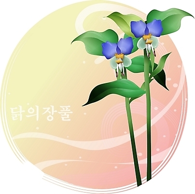 EPS 클립아트 식물 꽃 컬러 백그라운드 일러스트 여름꽃 자연 사람없음 보라색 들꽃 닭의장풀 국내일러스트 생태계 파일형식 벡터 여름_계절