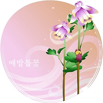 EPS 클립아트 식물 꽃 컬러 백그라운드 일러스트 봄꽃 자연 사람없음 보라색 들꽃 매발톱꽃 국내일러스트 봄 생태계 파일형식 벡터