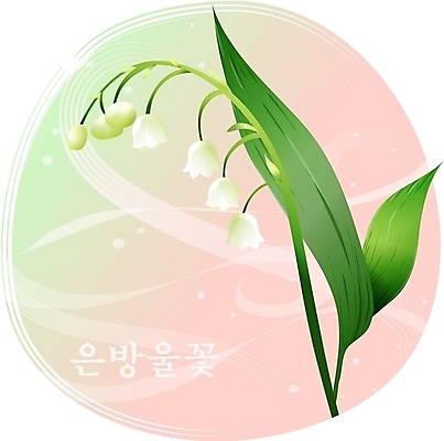 EPS 클립아트 식물 꽃 백그라운드 일러스트 봄꽃 자연 사람없음 들꽃 흰색 은방울꽃 국내일러스트 컬러 봄 생태계 파일형식 벡터