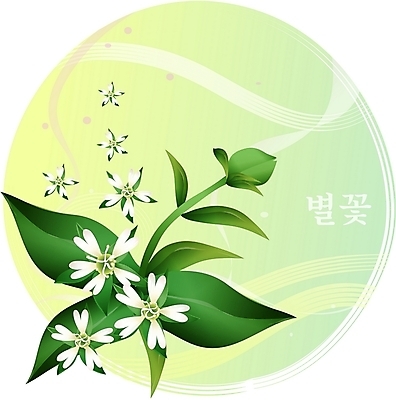 EPS 클립아트 식물 꽃 백그라운드 일러스트 봄꽃 자연 사람없음 들꽃 흰색 별꽃 국내일러스트 컬러 봄 생태계 파일형식 벡터