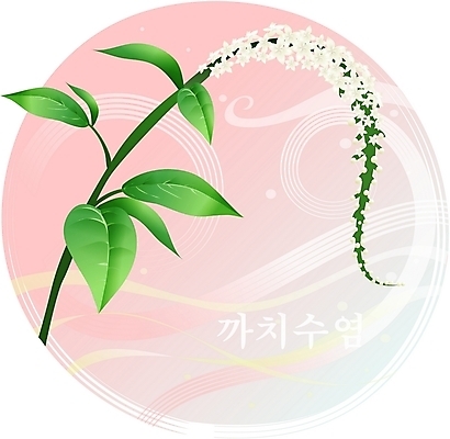 EPS 클립아트 식물 꽃 백그라운드 일러스트 여름꽃 자연 사람없음 들꽃 흰색 까치수염 국내일러스트 컬러 생태계 파일형식 벡터 여름_계절