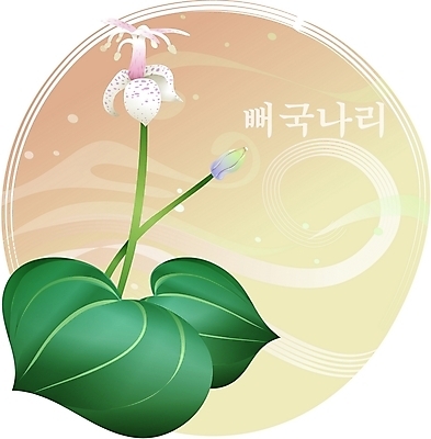 EPS 클립아트 식물 꽃 백그라운드 일러스트 여름꽃 자연 사람없음 흰색 뻐국나리 국내일러스트 컬러 생태계 파일형식 벡터 여름_계절