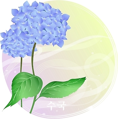 EPS 클립아트 식물 꽃 컬러 백그라운드 일러스트 여름꽃 자연 사람없음 파란색 수국 국내일러스트 생태계 파일형식 벡터 여름_계절