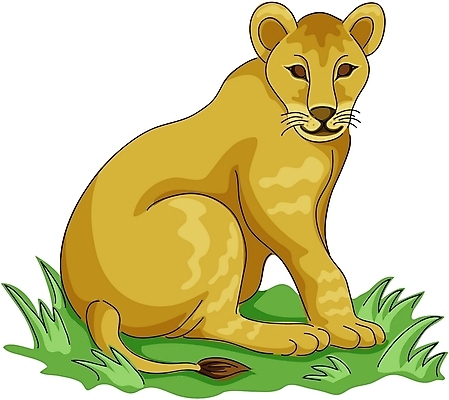 EPS 클립아트 동물 척추동물 한마리 육지동물 야생동물 일러스트 포유류 사람없음 사자 암사자 국내일러스트 1 암컷 파일형식 벡터