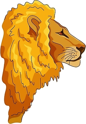 EPS 클립아트 동물 척추동물 한마리 육지동물 야생동물 일러스트 포유류 사람없음 사자 숫사자 국내일러스트 1 수컷 파일형식 벡터