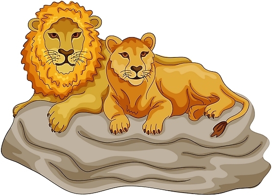 EPS 클립아트 동물 척추동물 한마리 육지동물 부부 커플 야생동물 일러스트 포유류 사람없음 돌_바위 바위 사자 숫사자 암사자 국내일러스트 1 관계 암컷 수컷 파일형식 벡터