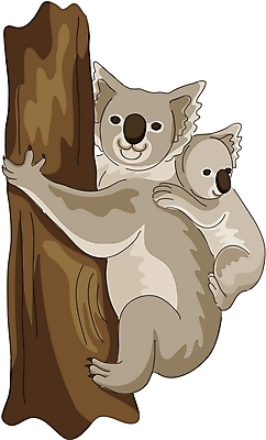 EPS 클립아트 나무 동물 척추동물 육지동물 야생동물 두마리 일러스트 포유류 사람없음 아기코알라 국내일러스트 식물 새끼 2 코알라 파일형식 벡터