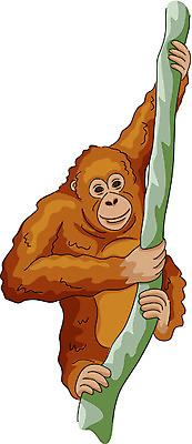 EPS 클립아트 나무 동물 척추동물 한마리 야생동물 일러스트 포유류 사람없음 오랑우탄 나무타기 국내일러스트 식물 1 모션 파일형식 벡터