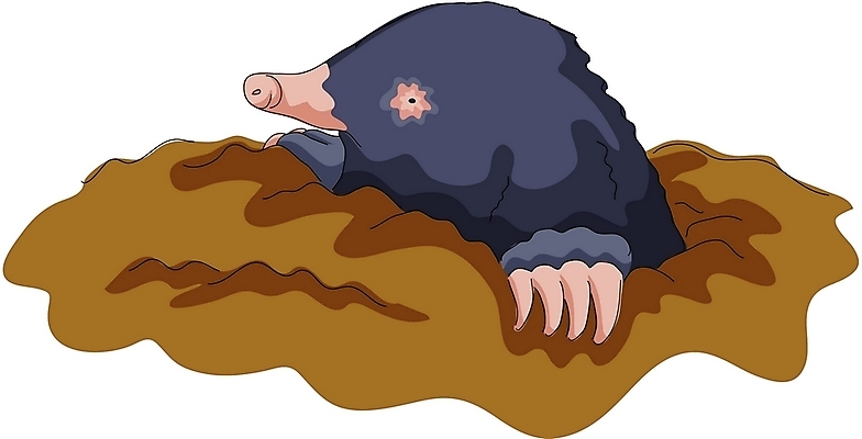 EPS 클립아트 동물 척추동물 한마리 육지동물 야생동물 일러스트 포유류 사람없음 흙 두더지 땅속 땅파기 국내일러스트 1 파일형식 벡터