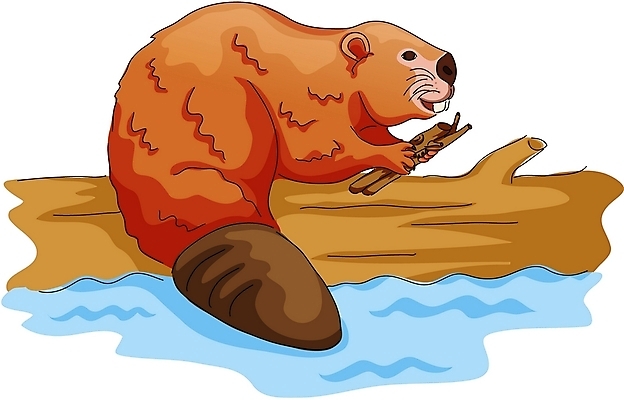 EPS 클립아트 나무 동물 척추동물 한마리 육지동물 야생동물 일러스트 포유류 사람없음 나뭇가지 비버 국내일러스트 식물 1 파일형식 벡터