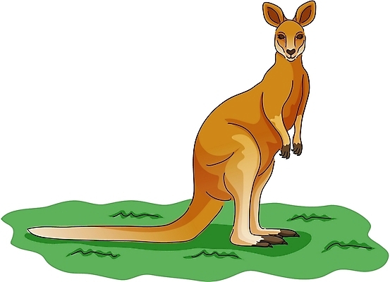 EPS 클립아트 동물 척추동물 한마리 육지동물 야생동물 동물캐릭터 일러스트 포유류 사람없음 캥거루캐릭터 일러캐릭터 캐릭터 1 캥거루 파일형식 벡터