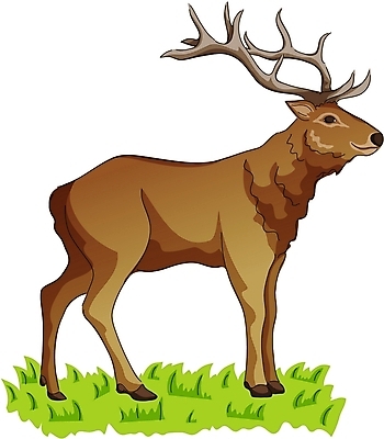 EPS 클립아트 동물 척추동물 한마리 야생동물 일러스트 포유류 뿔 사람없음 풀 산양 산양뿔 국내일러스트 식물 1 양 멸종위기동물 파일형식 벡터