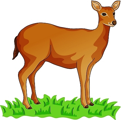 EPS 클립아트 동물 척추동물 한마리 육지동물 야생동물 일러스트 포유류 사슴 사람없음 풀 암사슴 국내일러스트 식물 1 암컷 파일형식 벡터