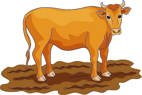 EPS 클립아트 동물 척추동물 한마리 육지동물 일러스트 포유류 뿔 사람없음 가축 흙 소 땅 국내일러스트 1 파일형식 벡터